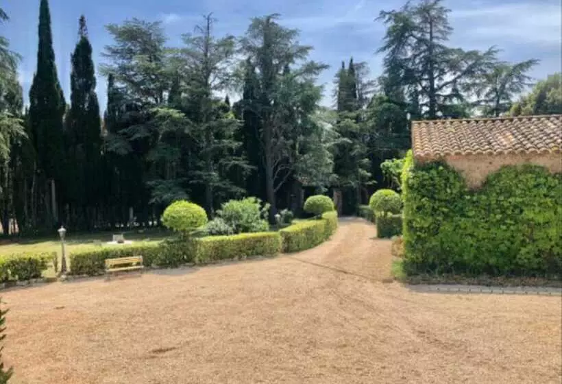 Majatalo Masia Mimosa