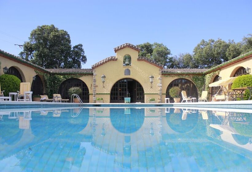 膳宿费 Masia Mimosa