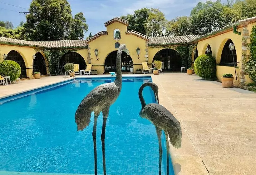 Majatalo Masia Mimosa