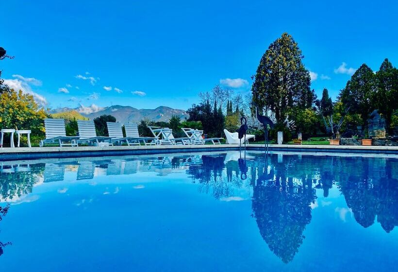 膳宿费 Masia Mimosa