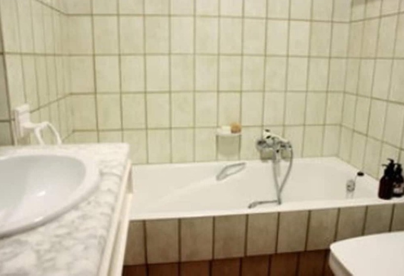 膳宿费 Masia Mimosa