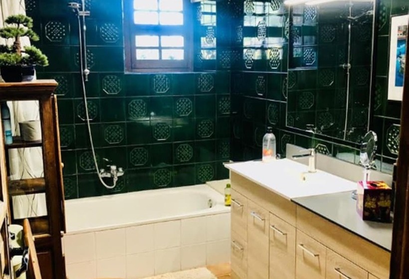 膳宿费 Masia Mimosa