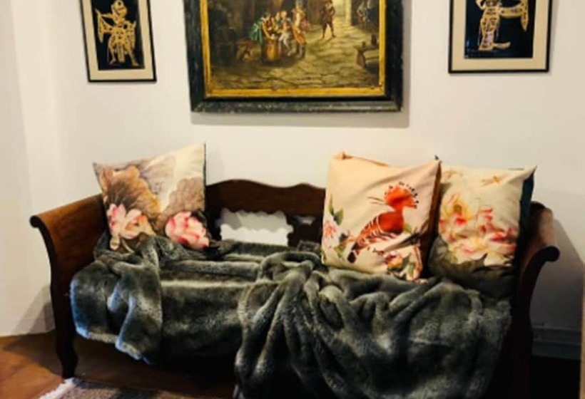 膳宿费 Masia Mimosa