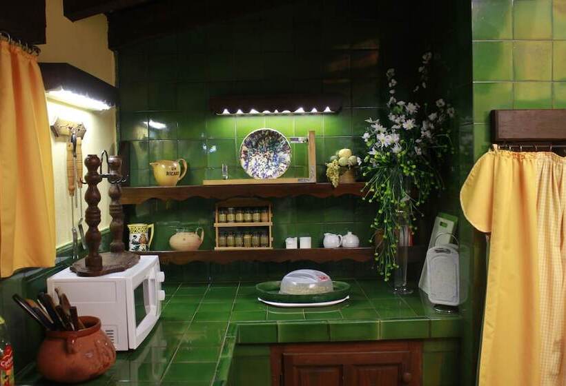 膳宿费 Masia Mimosa