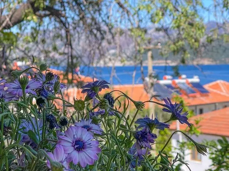 ペンション Selimiye 9 Oda