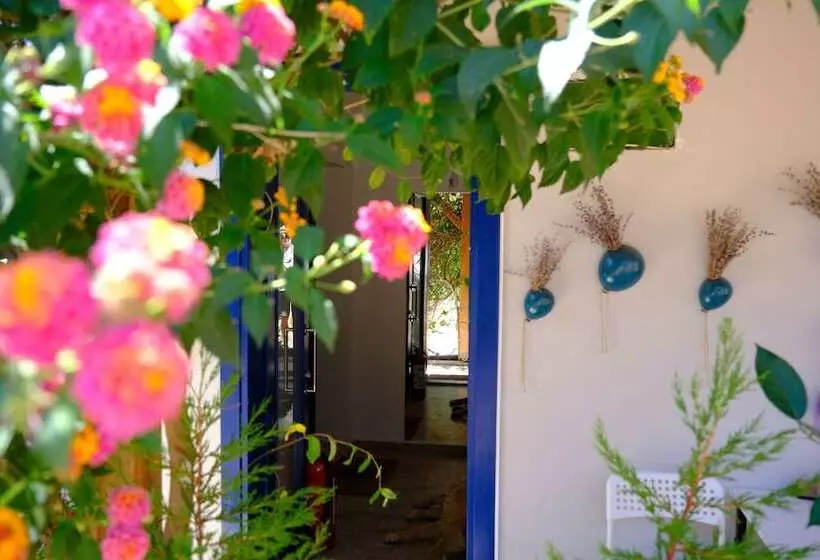 ペンション Selimiye 9 Oda