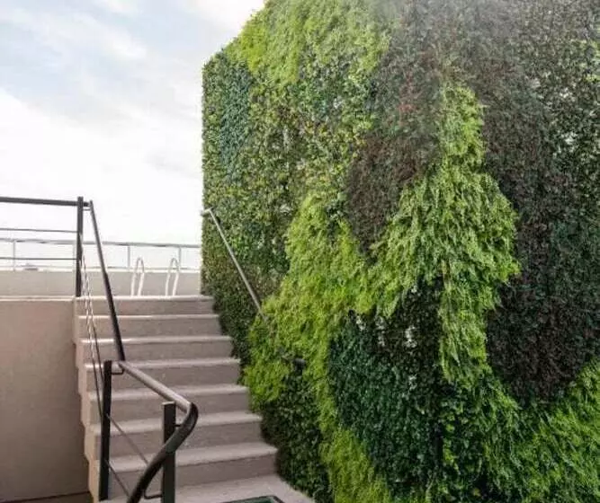 Top Rentals Palermo Hollywood