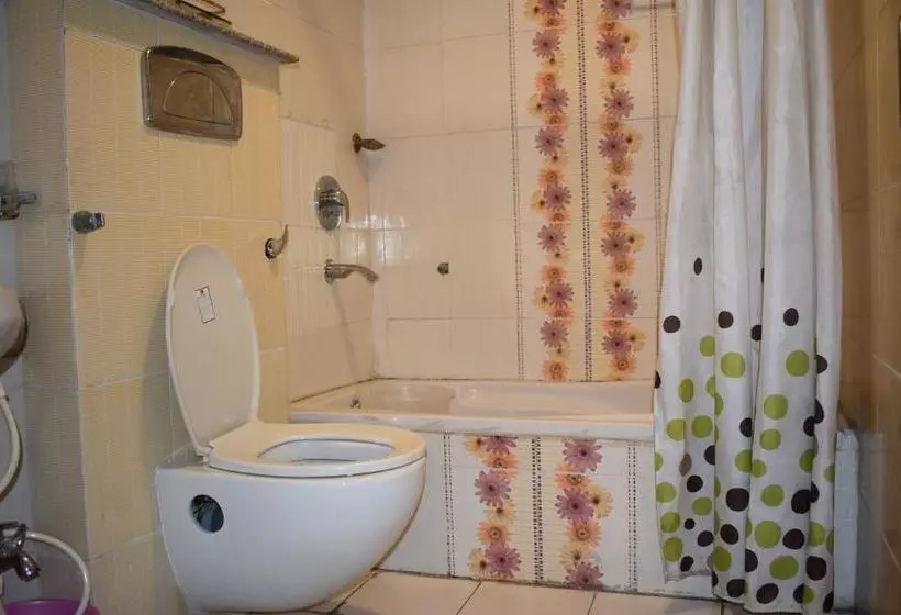 בית מלון כפרי Anand Palace