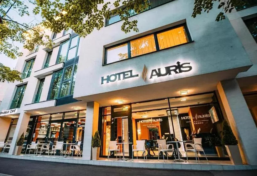 Hotel Auris