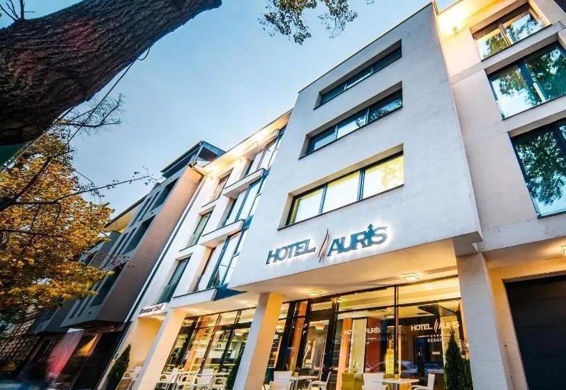 Hotel Auris