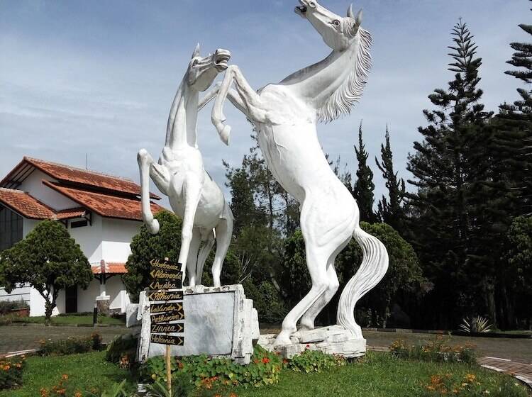 בית מלון כפרי Berlian Resort