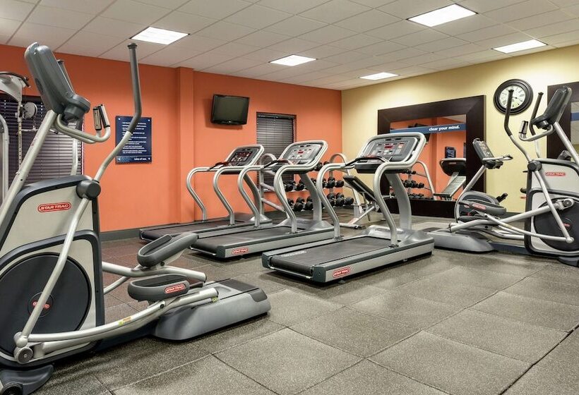 فندق Hampton Inn & Suites Prattville