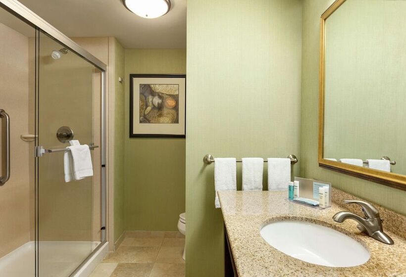 فندق Hampton Inn & Suites Prattville