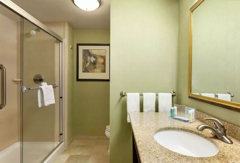 ホテル Hampton Inn & Suites Prattville