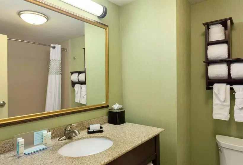 ホテル Hampton Inn & Suites Prattville