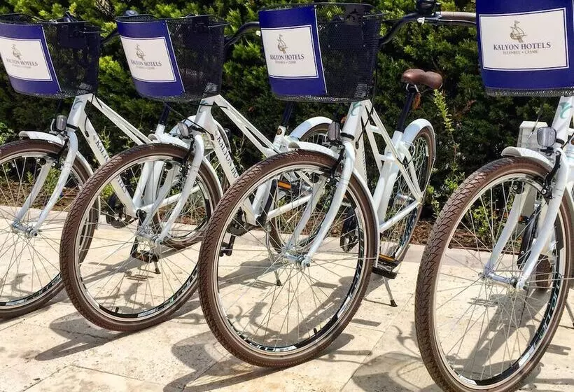 בית מלון כפרי Kalyon çeşme