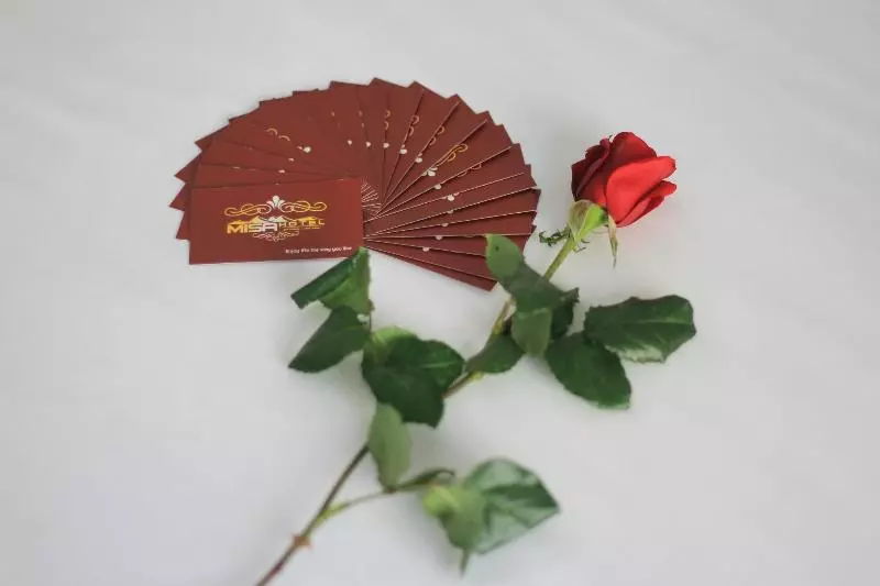Misa Hotel Da Nang
