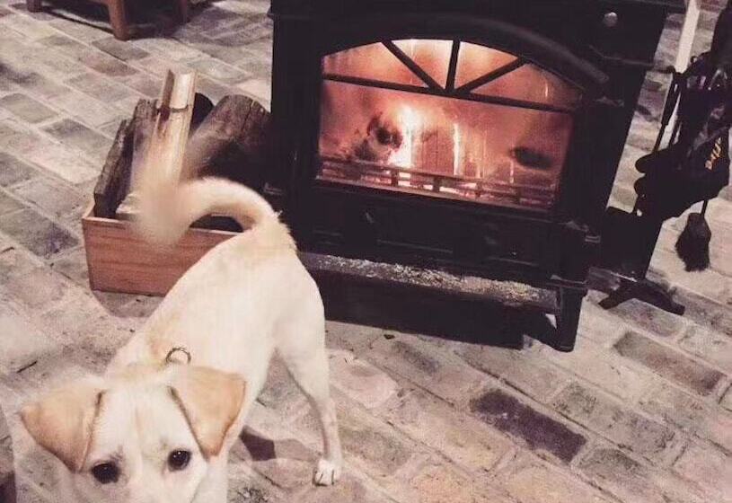 ホテル Moganshan Solvang Village Boutique