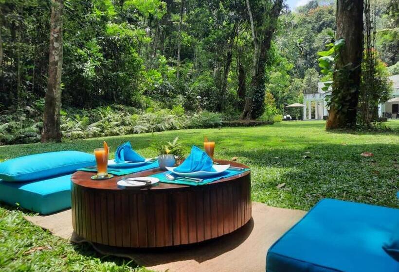 فندق Palmstone Retreat