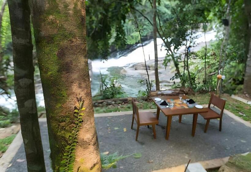 فندق Palmstone Retreat