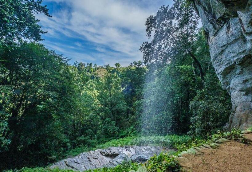 فندق Palmstone Retreat