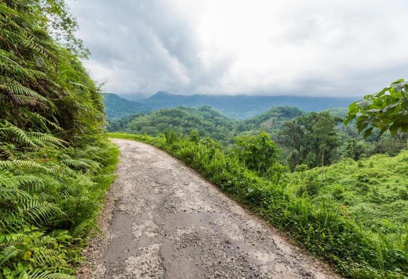 فندق Palmstone Retreat