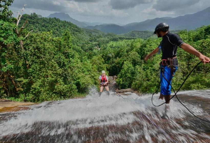 فندق Palmstone Retreat