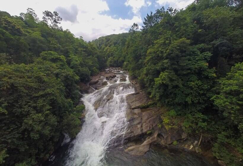 فندق Palmstone Retreat