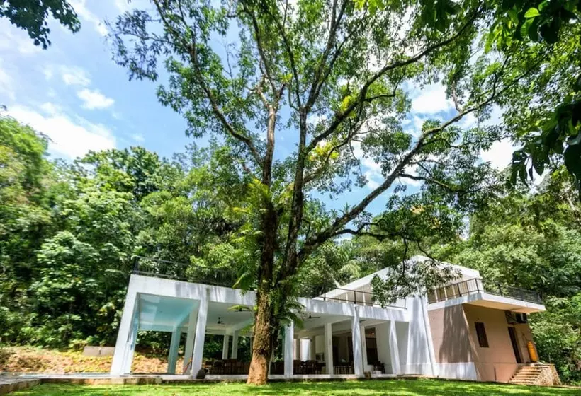 ホテル Palmstone Retreat