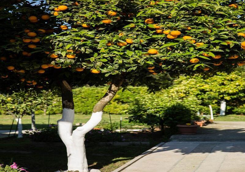 호텔 Paradise Village