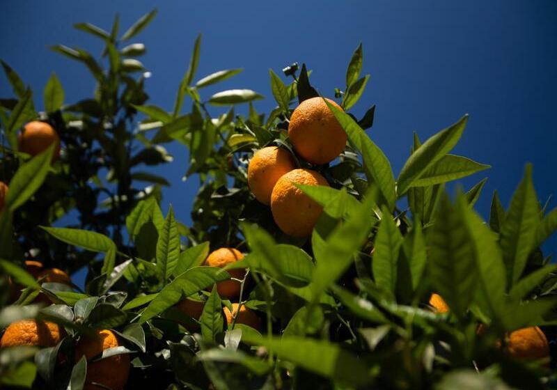 호텔 Paradise Village