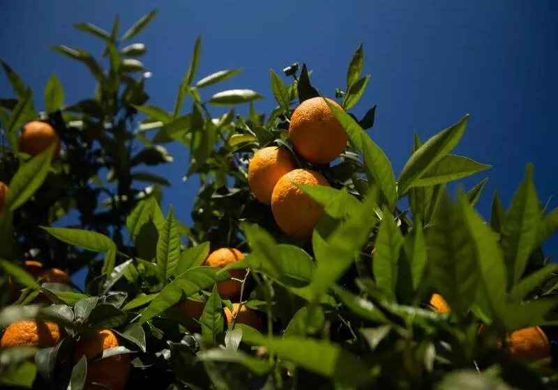 هتل Paradise Village