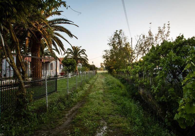 호텔 Paradise Village