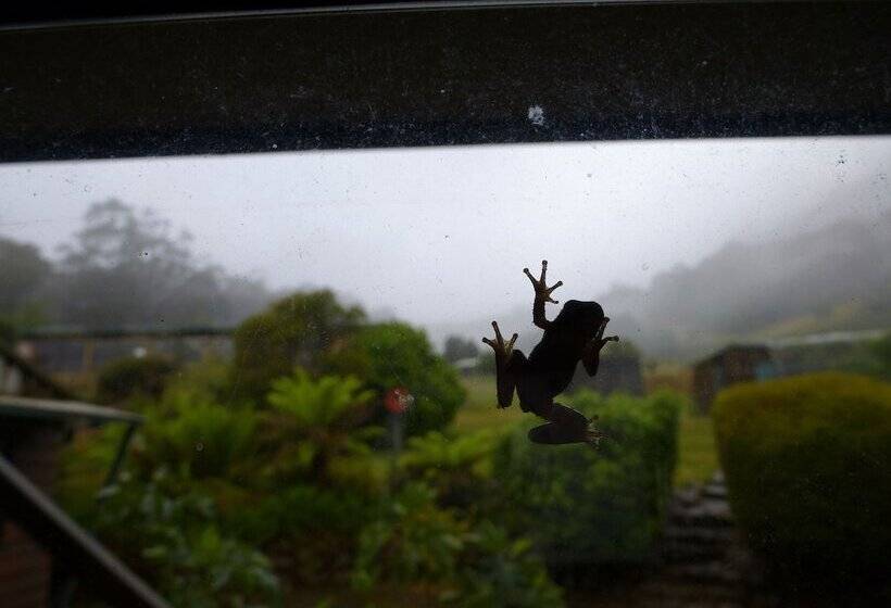 Отель Silver Ridge Retreat