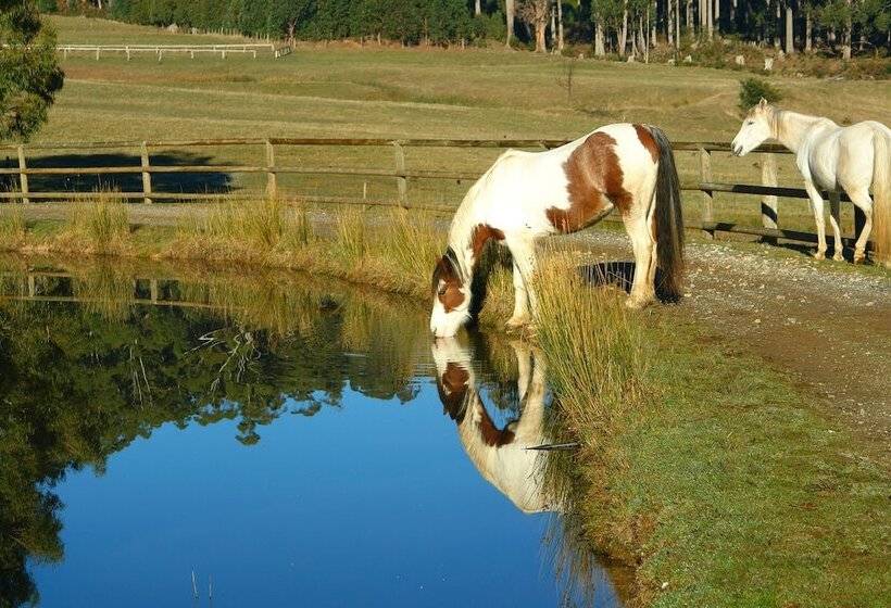 Отель Silver Ridge Retreat