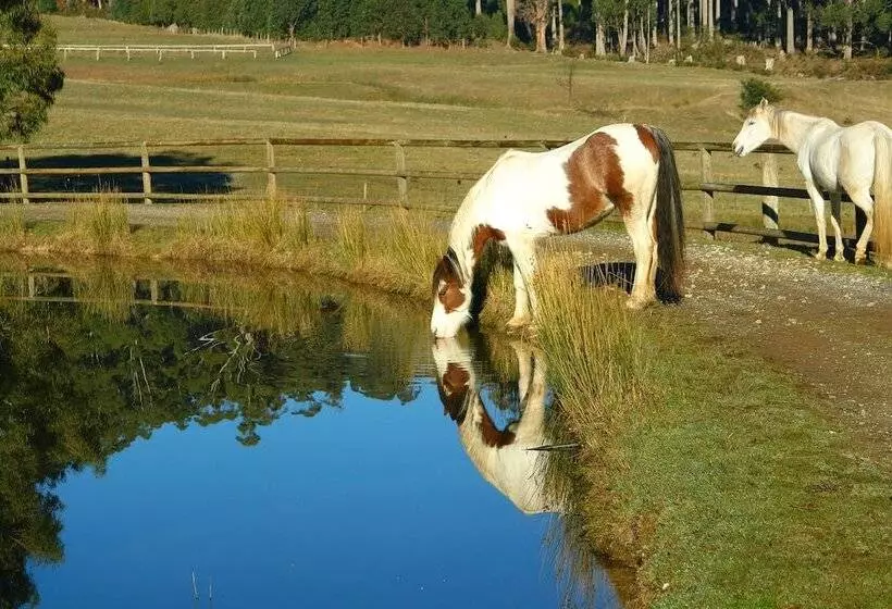 ホテル Silver Ridge Retreat