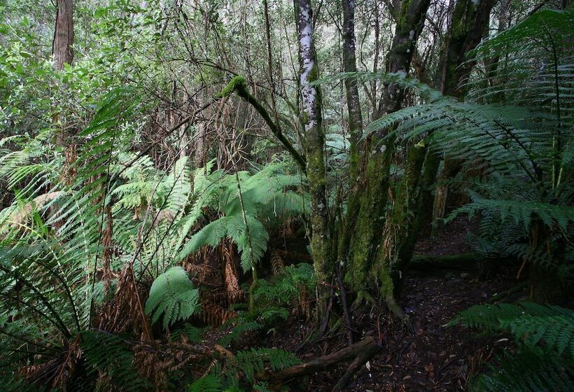 Отель Silver Ridge Retreat