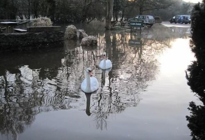 Отель The Watermans Arms