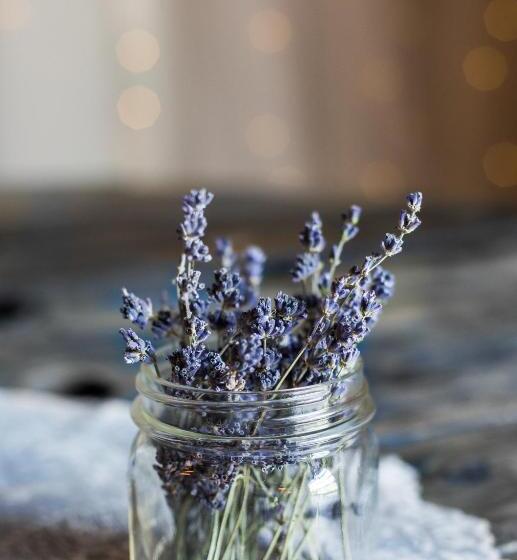 호스텔 La Masia Costa Brava