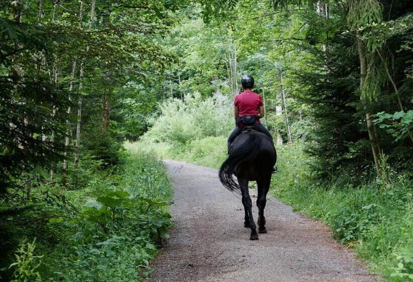 호스텔 La Masia Costa Brava