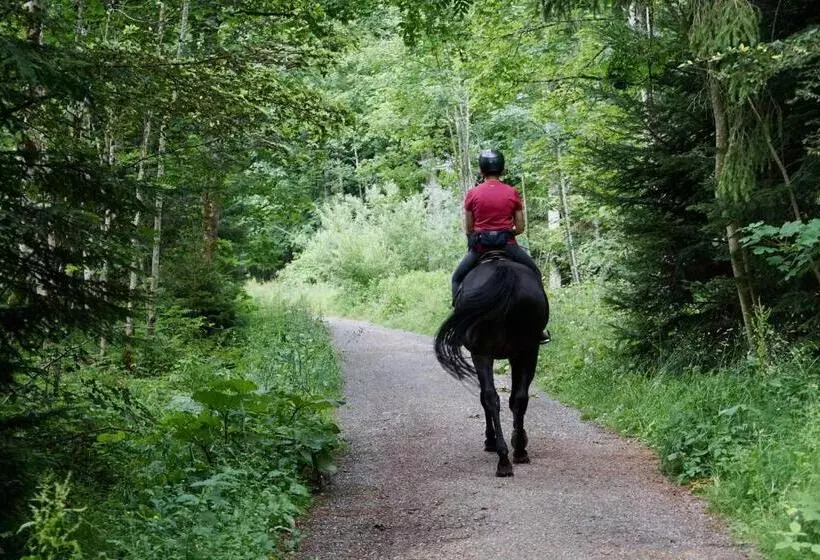 فندق صغير La Masia Costa Brava