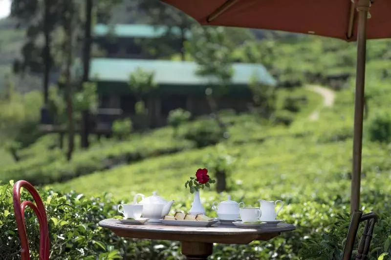 Resort Madulkelle Tea And Eco Lodge
