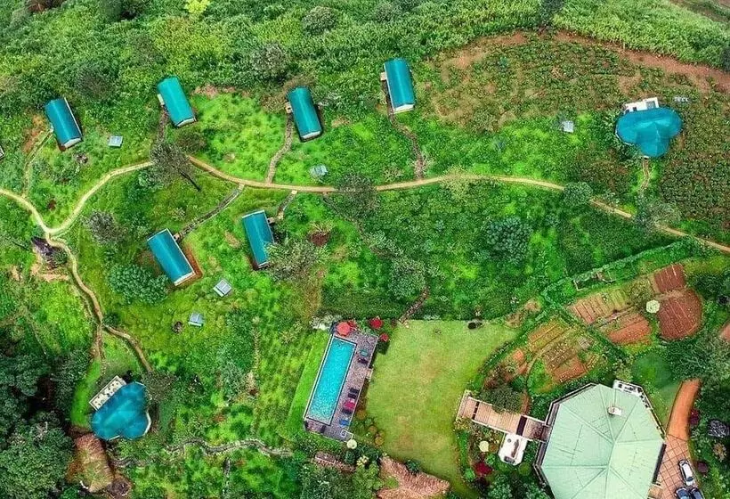 Resort Madulkelle Tea And Eco Lodge