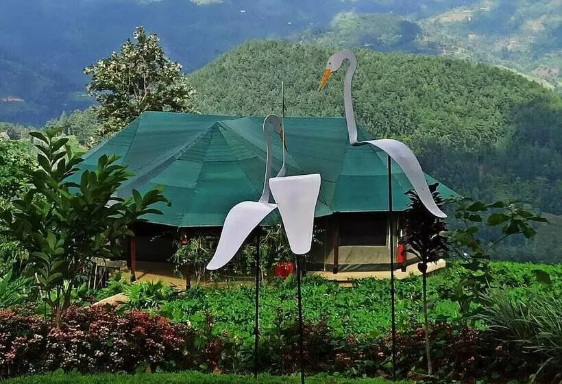 Resort Madulkelle Tea And Eco Lodge