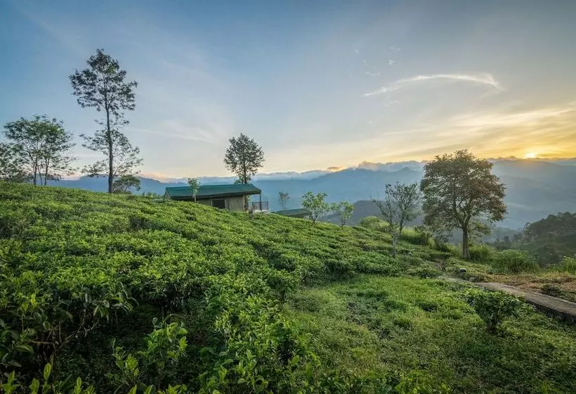 Resort Madulkelle Tea And Eco Lodge
