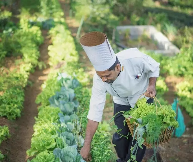 Resort Madulkelle Tea And Eco Lodge