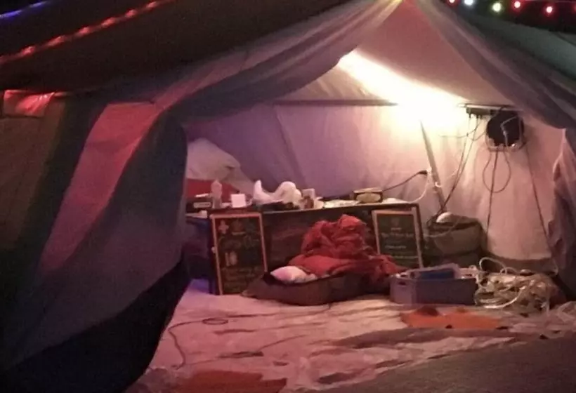 The Hangover Hospital   Hostel