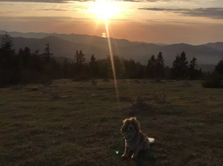 Hotelli Badara Kafe & Pansiyon