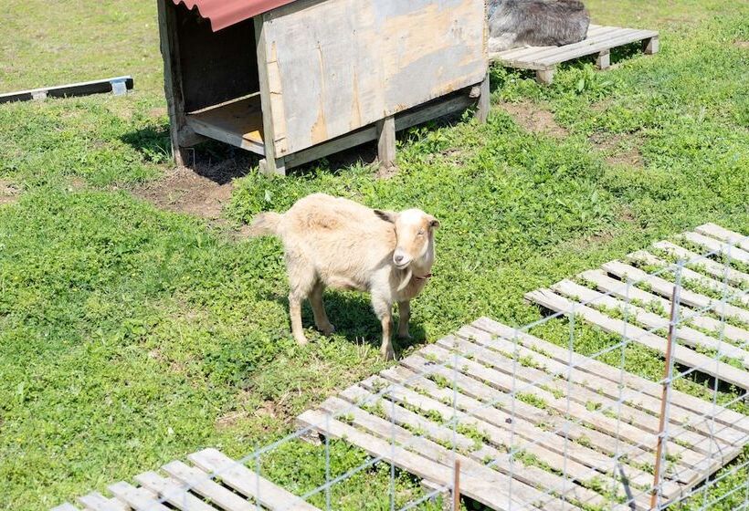 فندق Bunko Stay Haruhi Vacation Stay 42139v