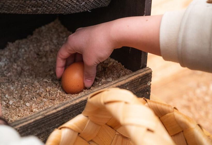 فندق Bunko Stay Haruhi Vacation Stay 42139v